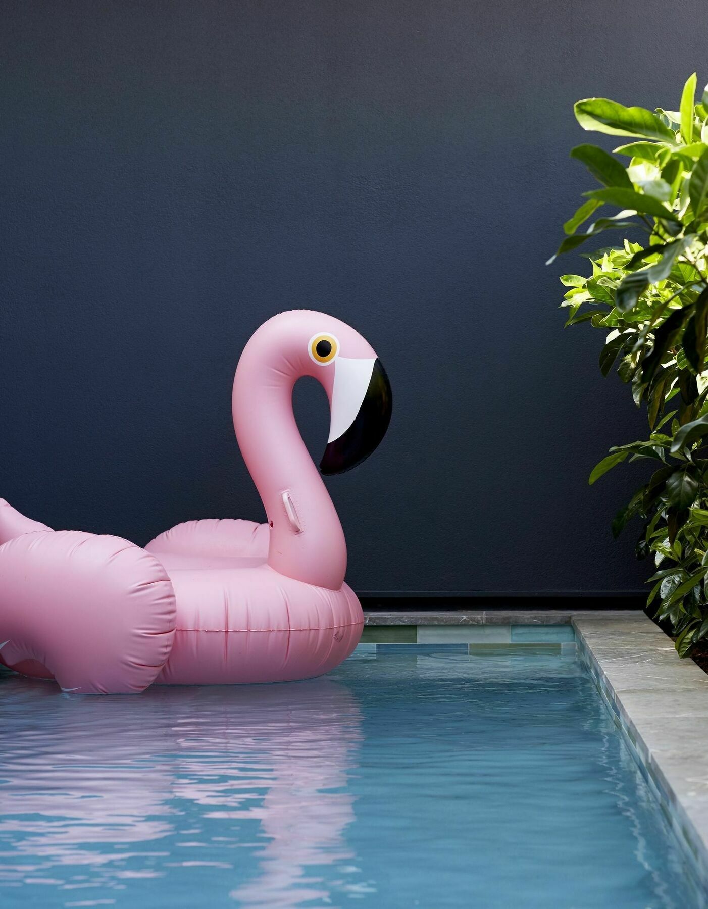 28 Degrees Byron Bay - Adults Only Exterior foto